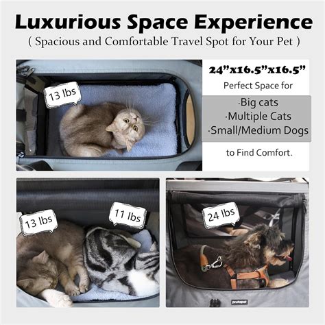 Best Cat Carriers of 2024: Expert Picked .